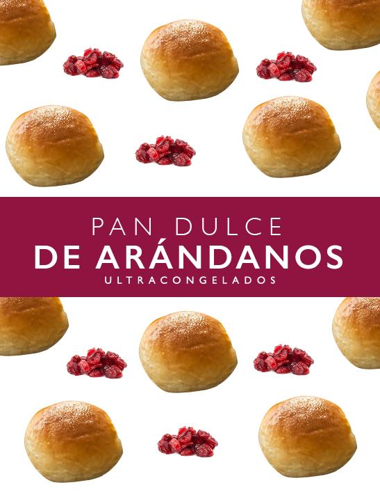 Pan dulce de arándanos 20grs